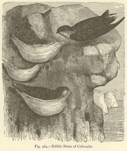 Image10